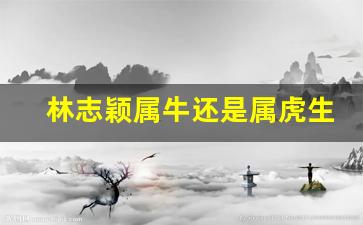 林志颖属牛还是属虎生肖-林志颖是属什么生肖