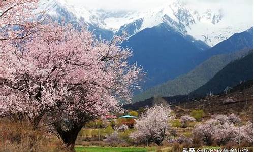 林芝景区海拔多少米-林芝景点海拔多少米