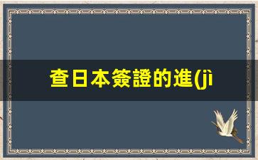 查日本簽證的進(jìn)度查詢(查日本簽證的進(jìn)度查詢網(wǎng)站)