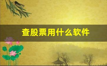 查股票用什么软件(查股票上什么网)_https://www.brunchezvous.com_自由行_第1张
