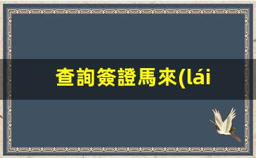 查詢簽證馬來(lái)西亞狀態(tài)進(jìn)度(查詢簽證馬來(lái)西亞狀態(tài)進(jìn)度怎么填)