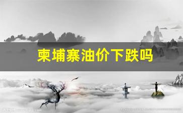 柬埔寨加油-柬埔寨油价下跌吗