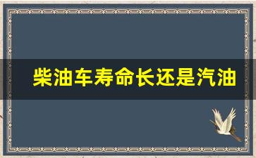 柴油车寿命长还是汽油车寿命长_柴油车的寿命