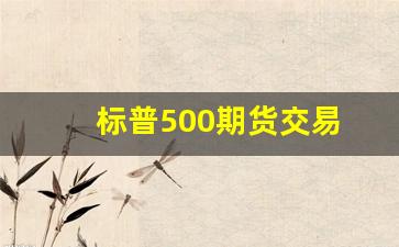 标普500期货交易(标普500有哪些公司)_https://www.xzdzcjx.com_科创板_第1张