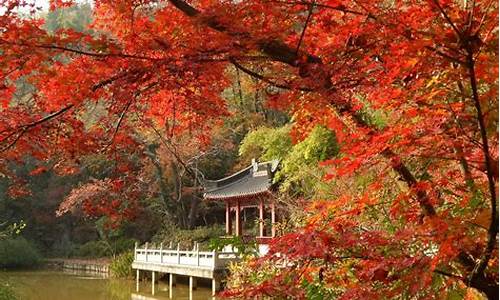 栖霞山门票优惠政策_栖霞山门票