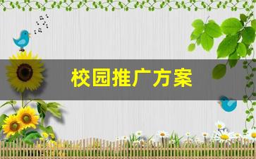 校园推广方案(校园推广方案PPT)_https://www.nalian8.com_科创板_第1张