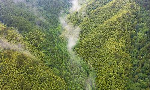 株洲炎陵天气预报一周_株洲炎陵天气