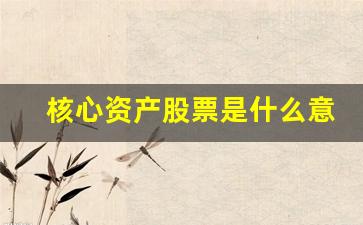 核心资产股票是什么意思(核心资产是指哪些股票)_https://www.heiljjianzu.com_深交所_第1张