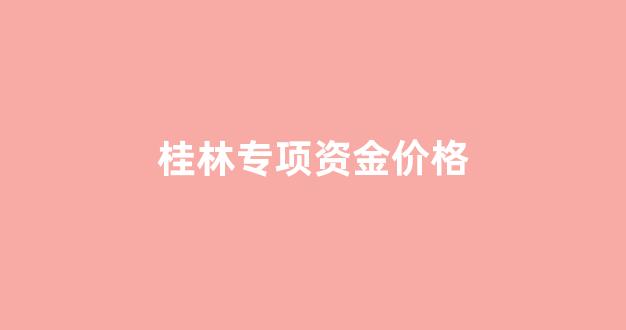 桂林预算_桂林专项资金价格
