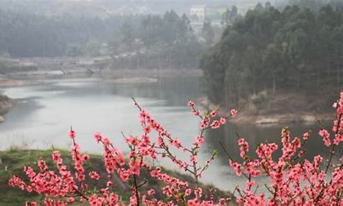 桃花岛门票价目表全景_桃花岛门票