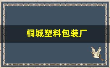 桐城塑料包装厂(桐城塑料包装厂199几年建厂)_https://www.taocizhiliang.com_装修流程_第1张