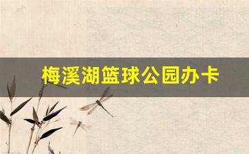梅溪湖篮球公园办卡-梅溪湖篮球场