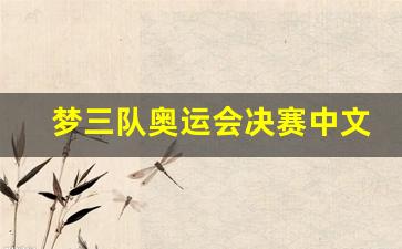 奥运冠军梦-梦三队奥运会决赛中文