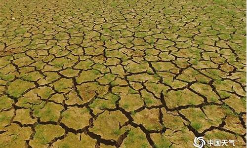 梦见天气干旱下雨_梦见天气干旱下雨什么意思