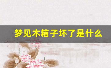 梦见木箱子坏了是什么意思周公解梦-梦见木箱子坏了是什么意思