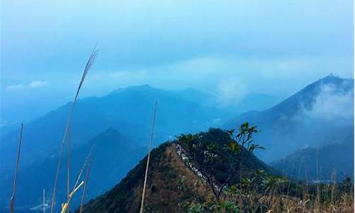 梧桐山旅游景点简介,梧桐山旅游攻略大全最新