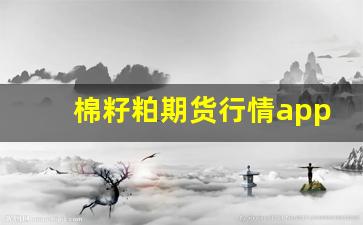棉籽粕期货行情app(棉籽今日期货行情走势)_https://www.ljyuan-tech.com_创业板_第1张