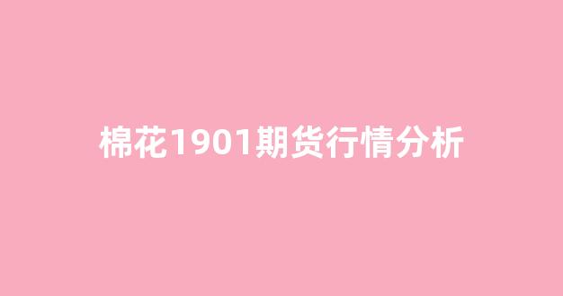 棉花1901期货行情分析(2019棉花期货走势)_https://www.rzcpcj.com_淘宝运营_第1张