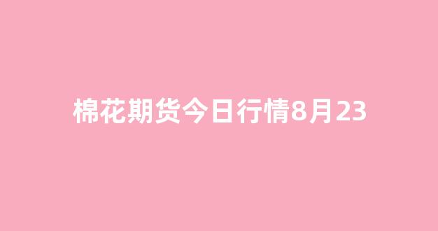 棉花期货今日行情8月23(棉花期货指数今日行情)_https://www.hhem8.com_上交所_第1张
