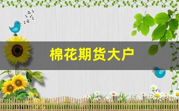 棉花期货大户(棉花期货大佬)_https://www.xzdzcjn.com_科创板_第1张