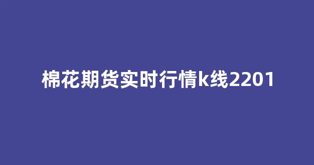 棉花期货实时行情k线2201(棉花期货最新实时行情2107)_https://www.hhem8.com_上交所_第1张