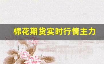 棉花期货实时行情主力(棉花期货实时行情 棉花期货价格)_https://www.erdeww.com_期货知识_第1张