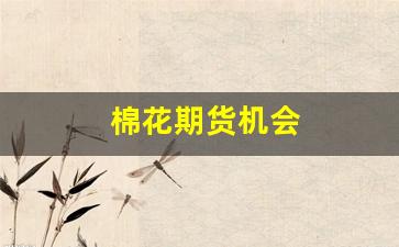 棉花期货机会(棉花期货时间)_https://www.fzdzcxj.com_上交所_第1张