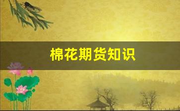 棉花期货知识(棉花期货今日行情)_https://www.fzdzcxj.com_创业板_第1张