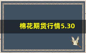 棉花期货行情5.30(棉花期货行情最新)_https://www.jianghaiboli.com_恒指期货_第1张