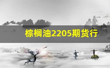棕榈油2205期货行情(棕榈油2105期货)_https://www.jianghaiboli.com_恒指期货_第1张