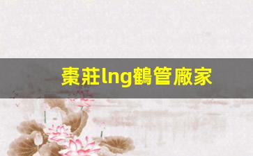 棗莊lng鶴管廠家(lng裝車鶴管)(1)