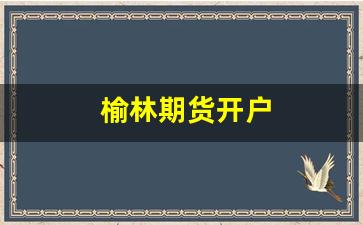 榆林期货开户(期货交易所开户条件)_https://www.xzdzcjn.com_创业板_第1张