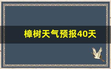 樟树天气预报40天_樟树天气预报40天查询