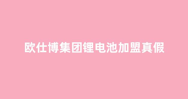 欧仕博集团锂电池加盟真假(欧仕博集团做什么的)_https://www.wanyuyiyao.com_上交所_第1张