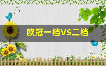 欧冠一档vs二档什么意思-欧冠一档VS二档