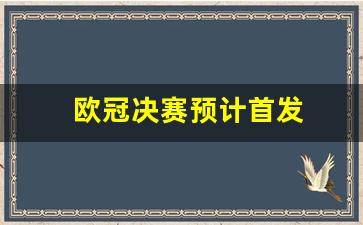 欧冠决赛预计首发球员-欧冠决赛预计首发
