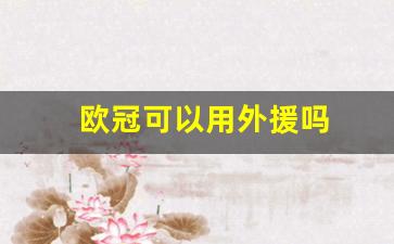 欧冠可以有外援吗-欧冠可以用外援吗