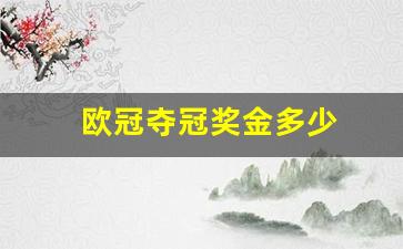 欧冠冠军奖金多少钱-欧冠夺冠奖金多少