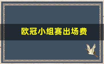 欧冠小组赛出场费-欧冠小组赛赛几场