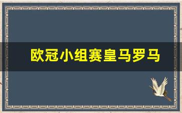 欧冠小组赛皇马罗马比分-欧冠小组赛皇马罗马