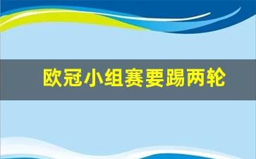 欧冠小组赛要踢两轮-欧冠小组踢几场