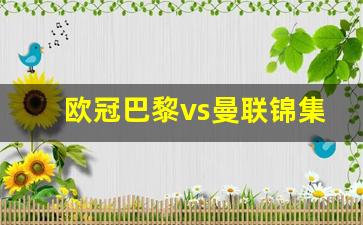 欧冠巴黎vs曼联锦集-欧冠巴黎vs曼城哪里直播