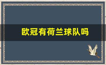 荷兰有欧洲杯冠军吗-欧冠有荷兰球队吗