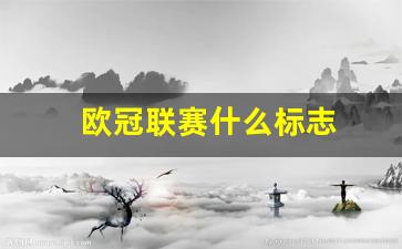 欧冠联赛什么标志-欧冠联赛什么意思