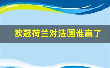 欧冠荷兰对法国谁赢了-荷兰对阵法国