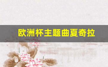 欧洲杯主题曲夏奇拉-欧洲杯主题曲mv