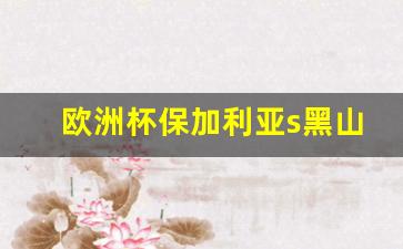 欧洲杯保加利亚s黑山-2004欧洲杯保加