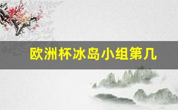 2020欧洲杯冰岛进小组赛了吗-欧洲杯冰岛小组第几
