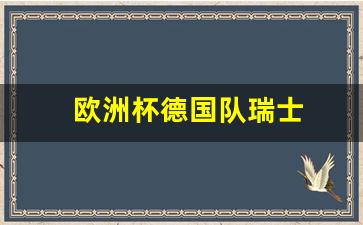 欧洲杯德国瑞士几点开赛-欧洲杯德国队瑞士