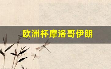欧洲杯摩洛哥伊朗-欧冠摩洛哥